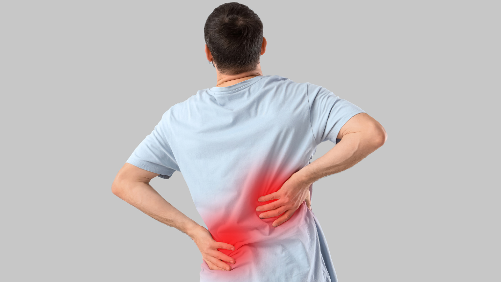 Physiotherapy Exercises for Lower Back Pain - Dr.Vigil Physio